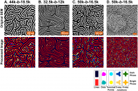 Murphy, PLoS One, 2015
