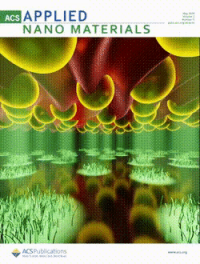 Rao, ACS Appl. Nano Mater., 2019